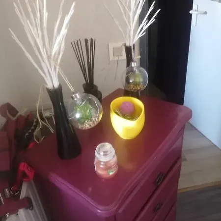 Un Petit Nid Douillet Accommodatie bij particulieren Tarbes